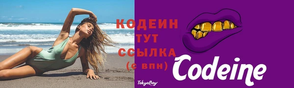 apvp Горнозаводск