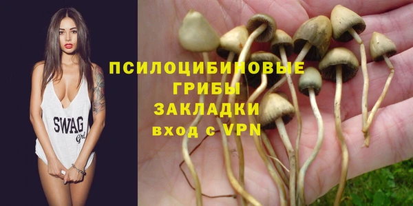 apvp Горнозаводск
